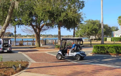 Secure Your Personal Golf Cart with the Cart Key System